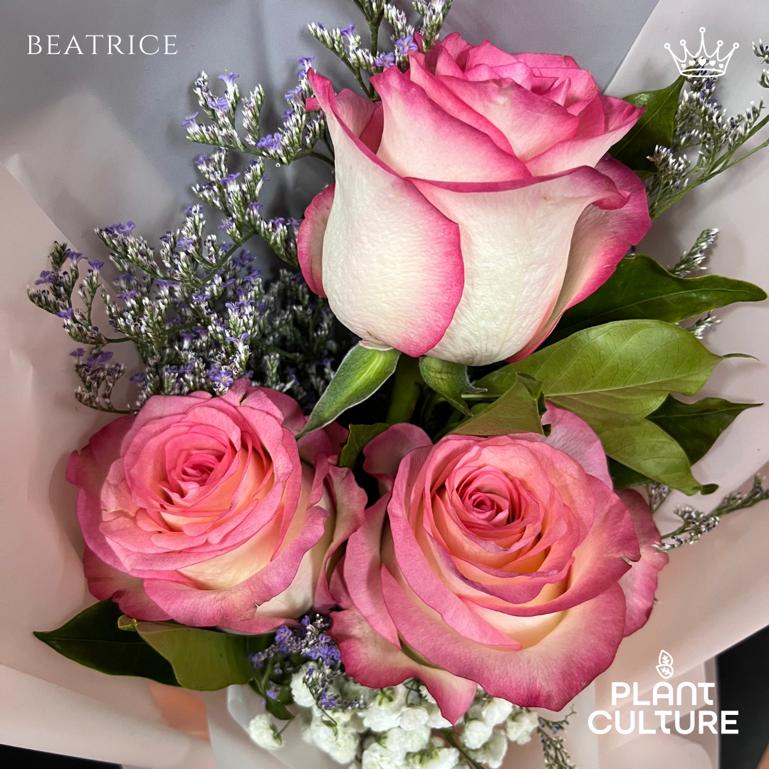 Beatrice Fresh Imported Pink Rose Bouquet Trio