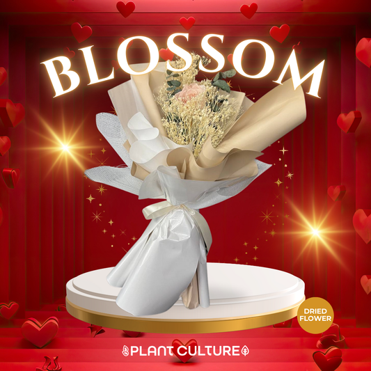 Blossom Preserved Pink Dried Flower Arrangement