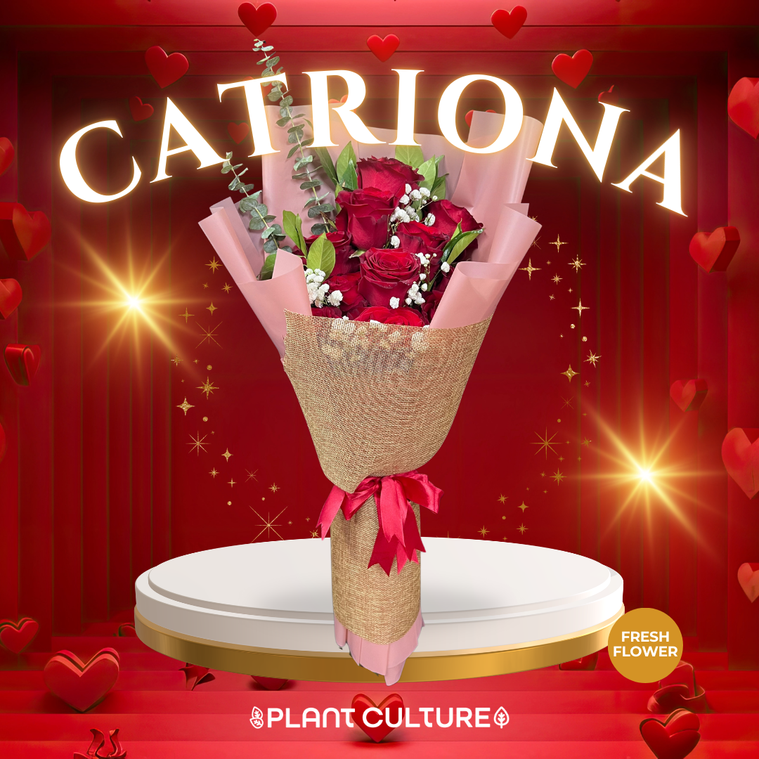 Catriona One Dozen Fresh Imported Red Roses Bouquet