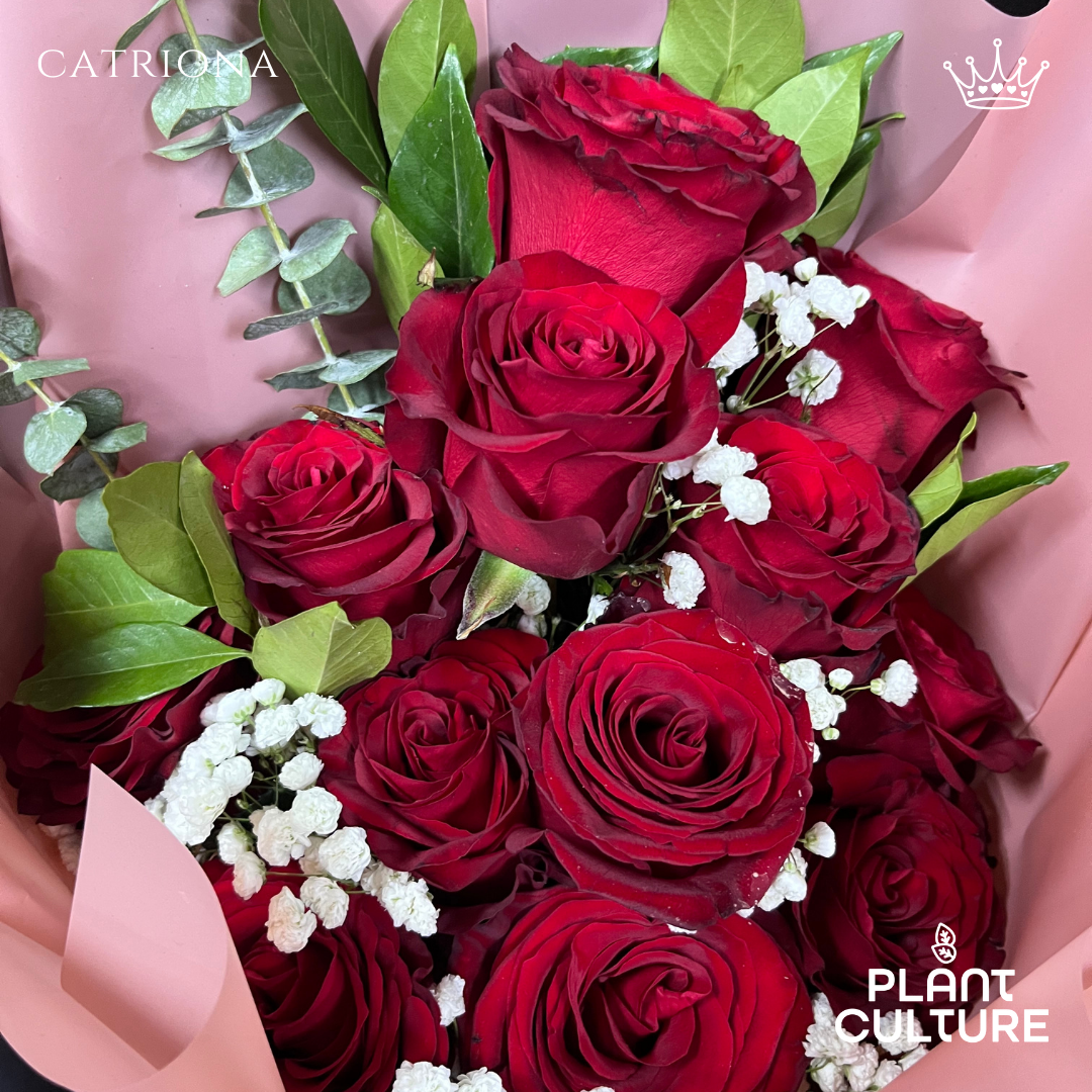 Catriona One Dozen Fresh Imported Red Roses Bouquet