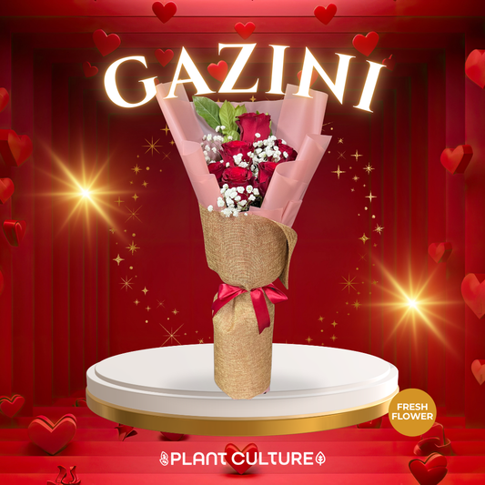 Gazini Fresh Red Rose Imported Flower Bouquet 6pcs