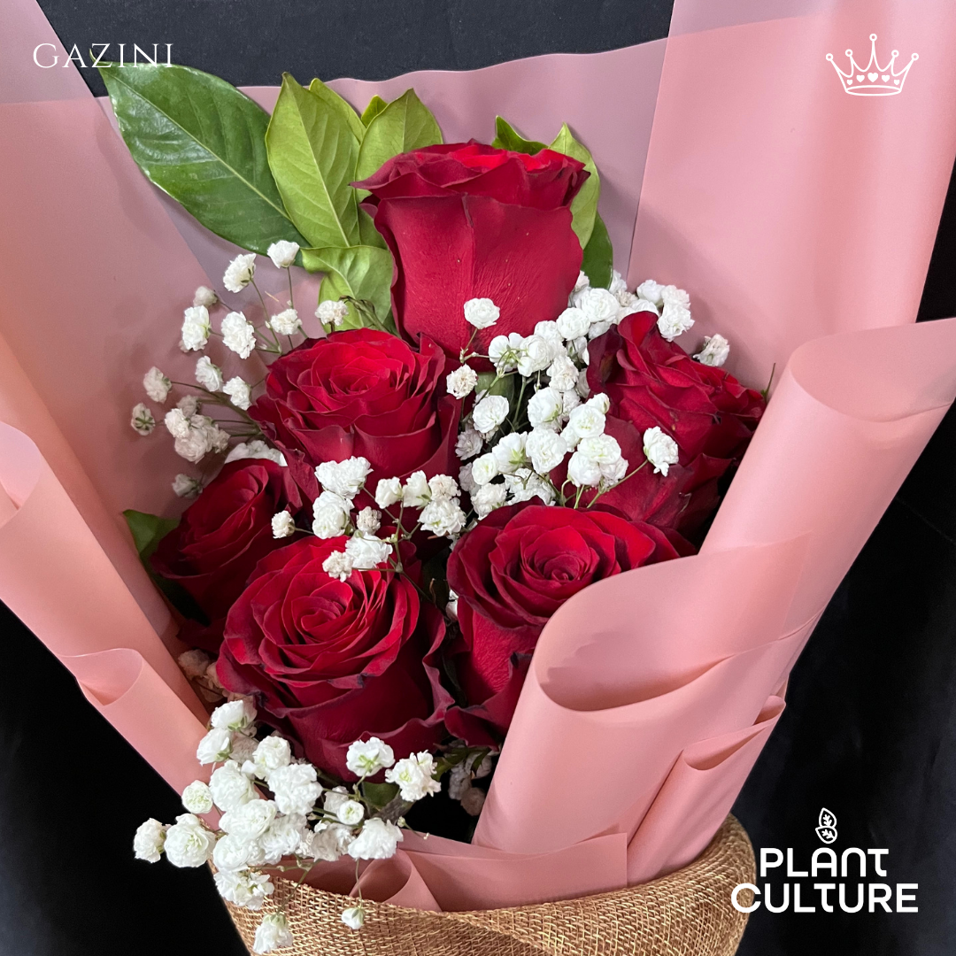 Gazini Fresh Red Rose Imported Flower Bouquet 6pcs