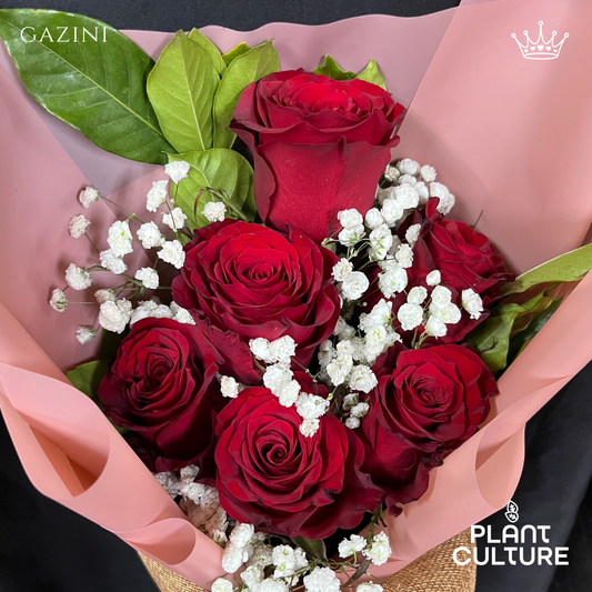 Gazini Fresh Red Rose Imported Flower Bouquet 6pcs