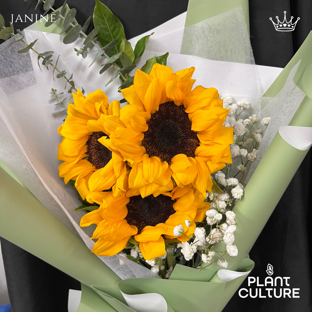 Janine Fresh Sunflower Bouquet Trio