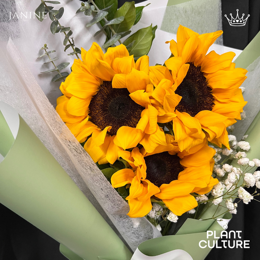 Janine Fresh Sunflower Bouquet Trio