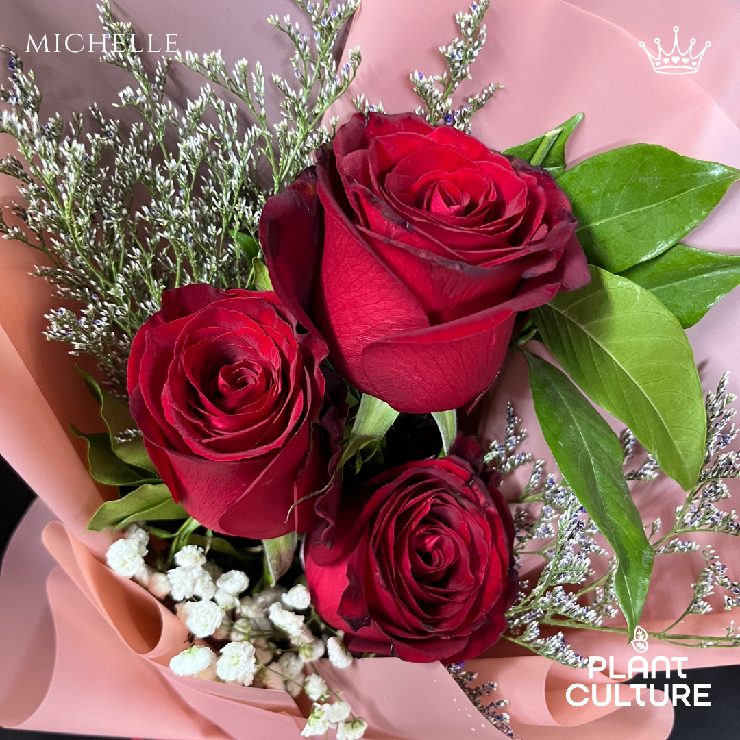Michelle Fresh Imported Red Rose Bouquet Trio
