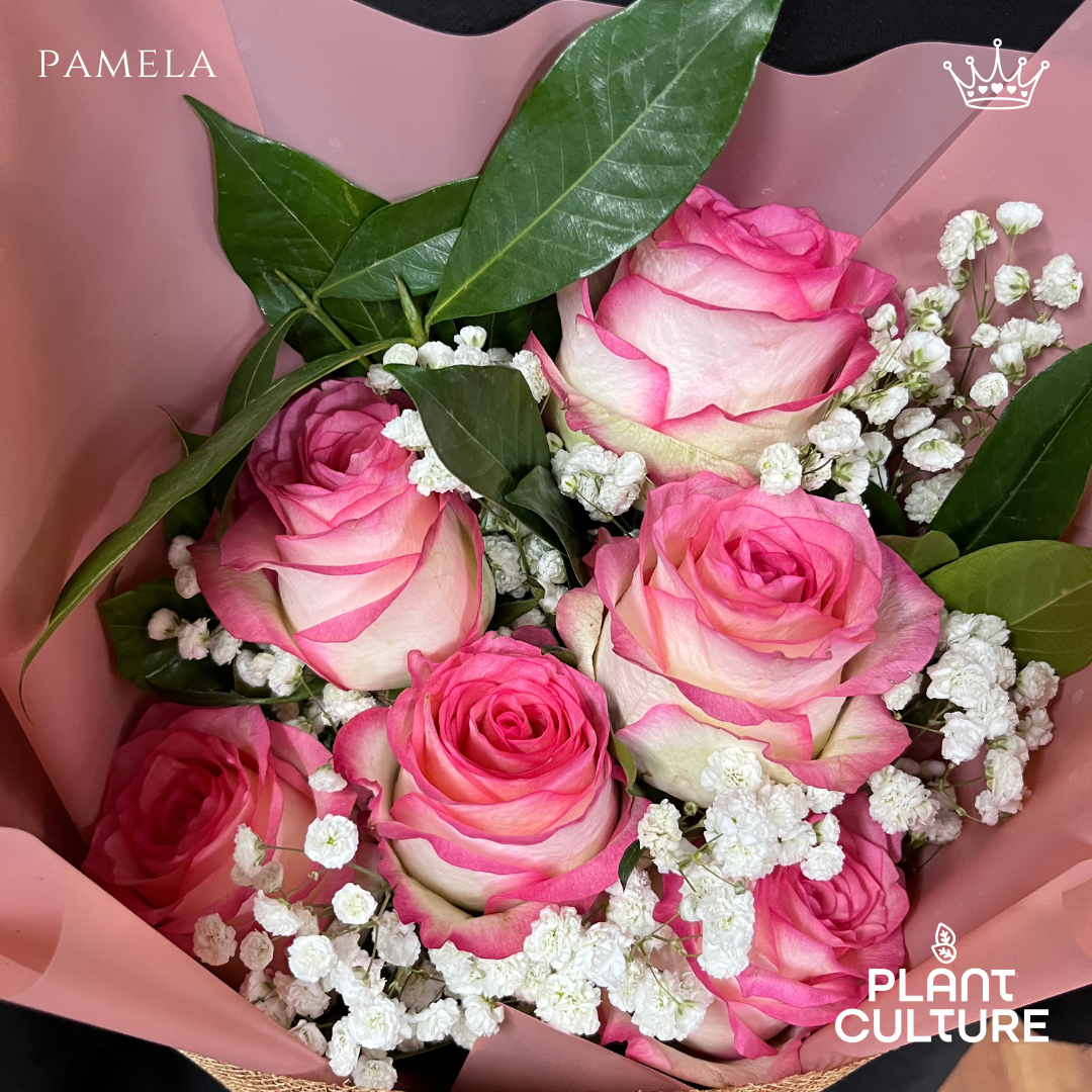 Pamela Pink Fresh Imported Flowers Bouquet 6pcs
