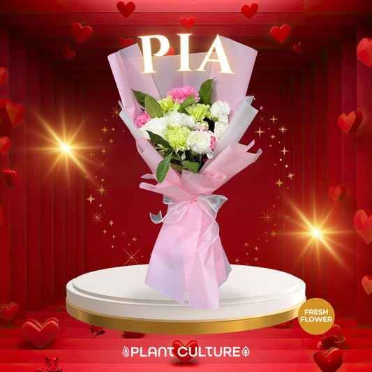 Pia Fresh Carnation Mixed Imported Flowers Bouquet