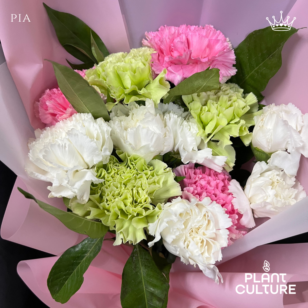 Pia Fresh Carnation Mixed Imported Flowers Bouquet