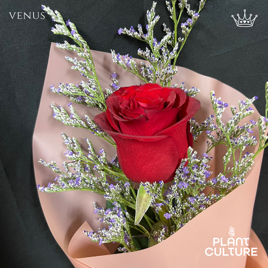 Venus Fresh Red Rose Imported Flower Bouquet 1pc