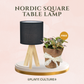 Gift Bundle | Fittonia + Lamps