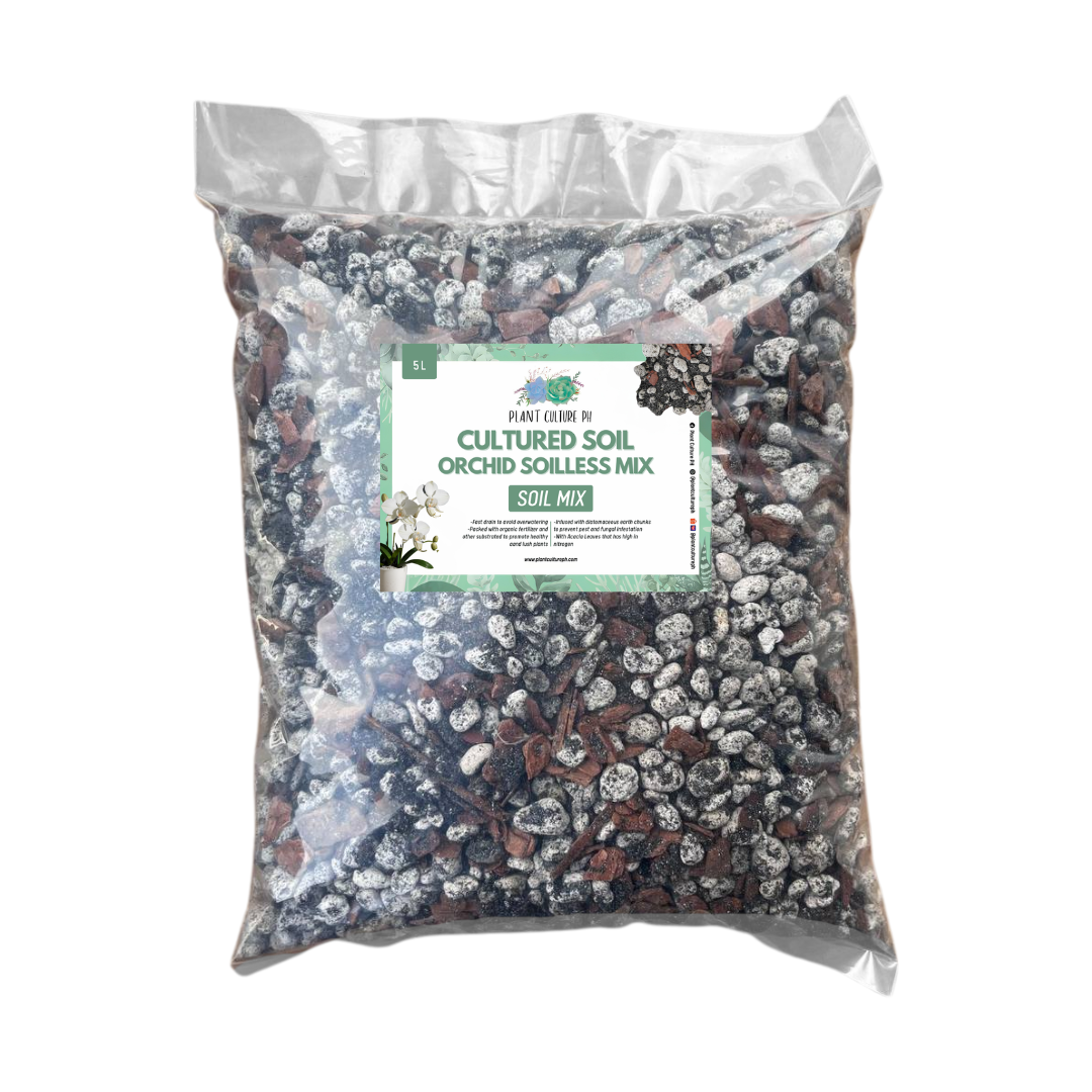 Cultured Soil Orchid Soilless Mix 1L & 5L | Ready-to-Use Soil Mix