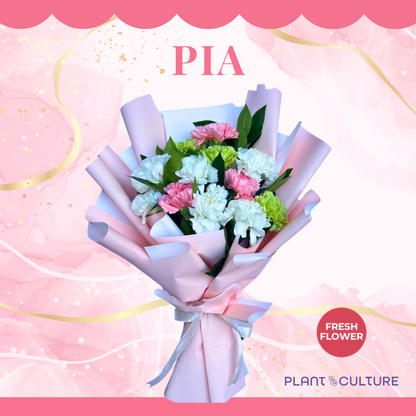 Pia Fresh Carnation Mixed Imported Flowers Bouquet