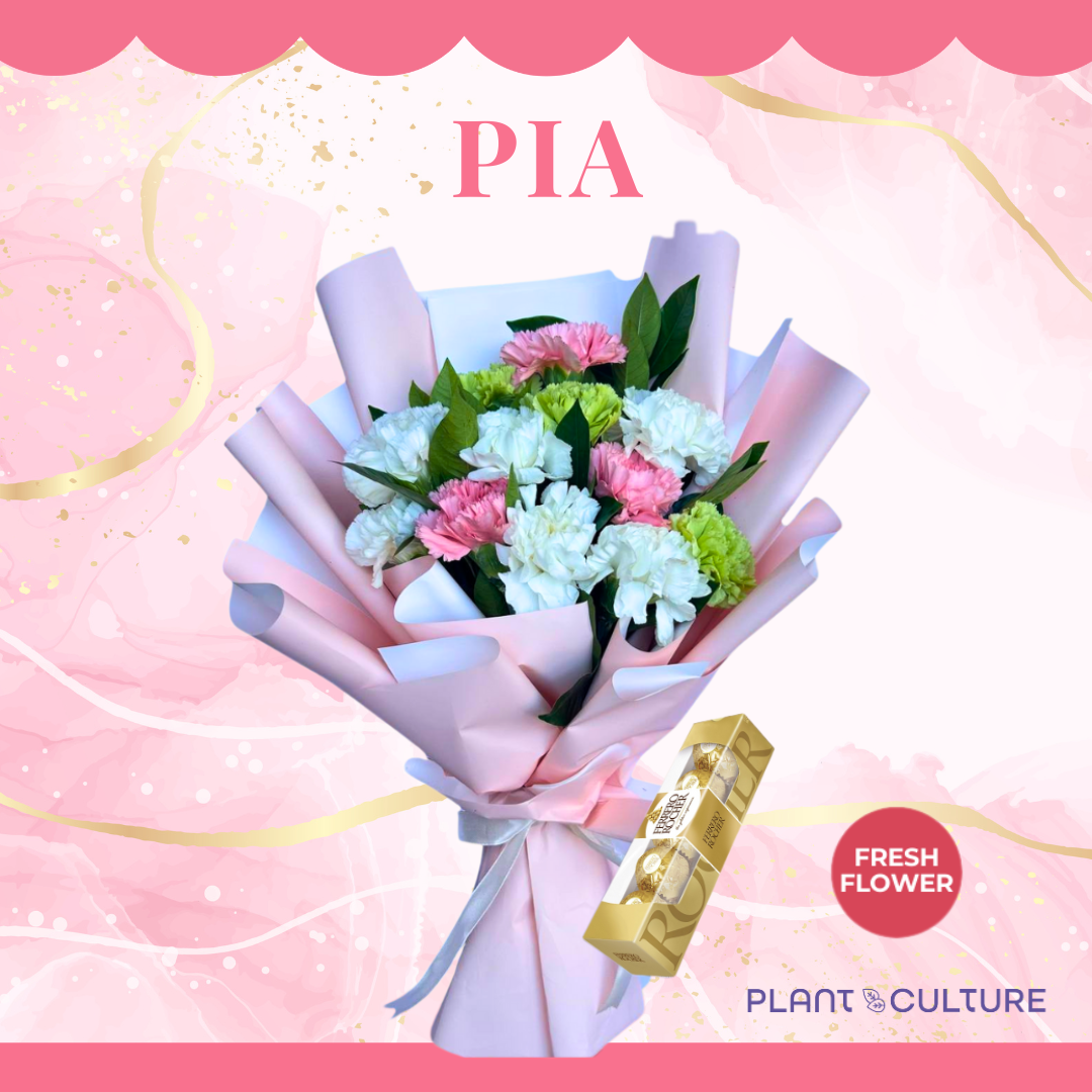 Pia Fresh Carnation Mixed Imported Flowers Bouquet