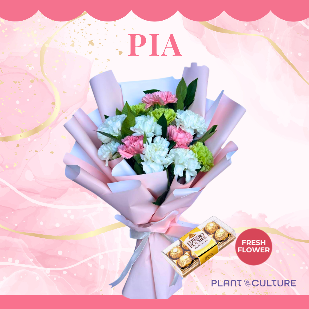 Pia Fresh Carnation Mixed Imported Flowers Bouquet