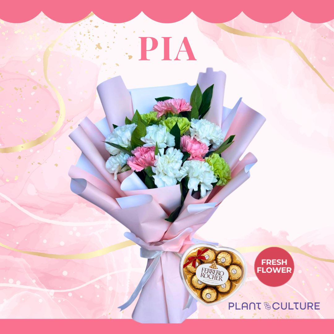 Pia Fresh Carnation Mixed Imported Flowers Bouquet