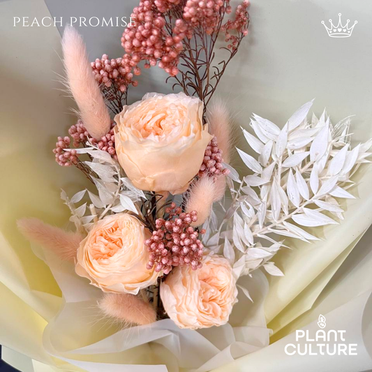 Peach Promise Preserved Dried Flower Arrangement