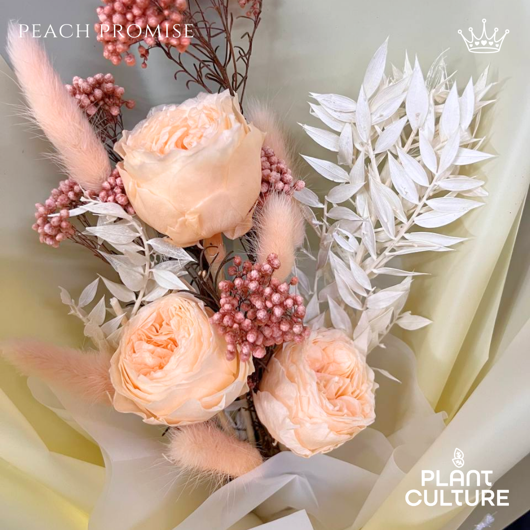 Peach Promise Preserved Dried Flower Arrangement