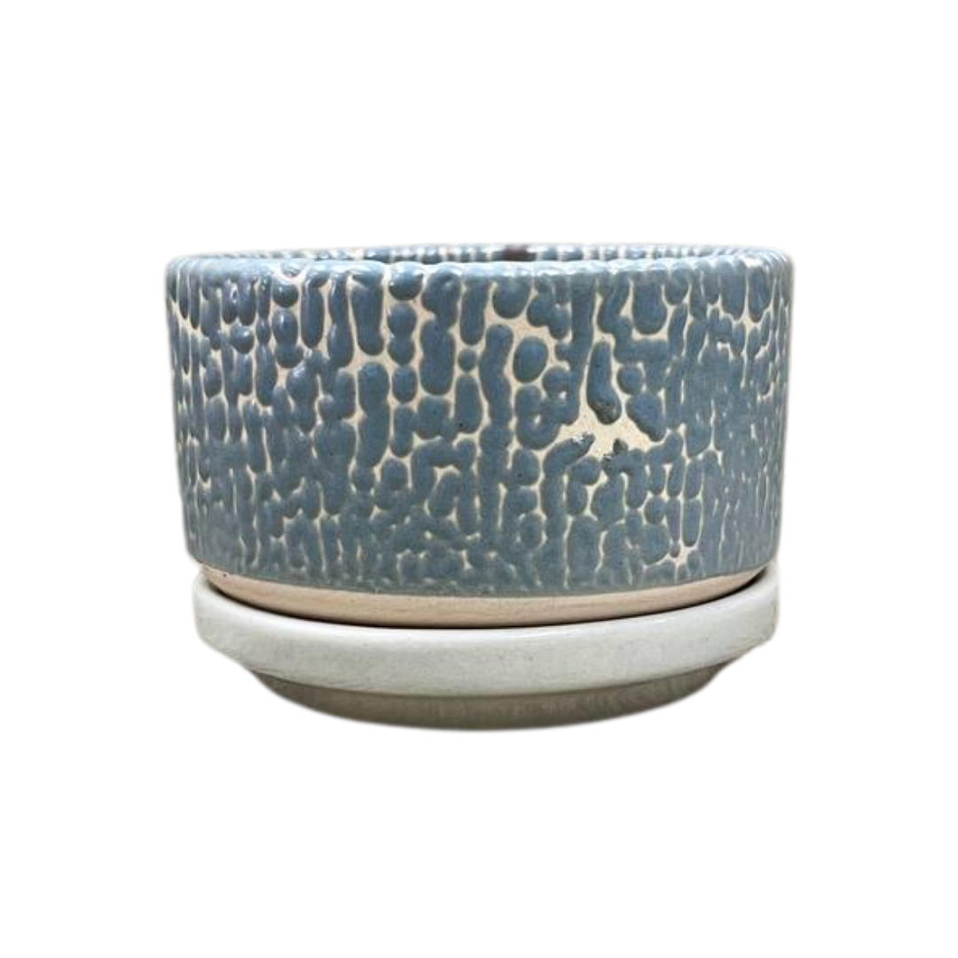 Pebble Shallow Ceramic Pot with Catch Plate (3 × 1.5 in)