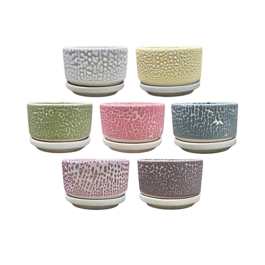 Pebble Shallow Ceramic Pot with Catch Plate (3 × 1.5 in)