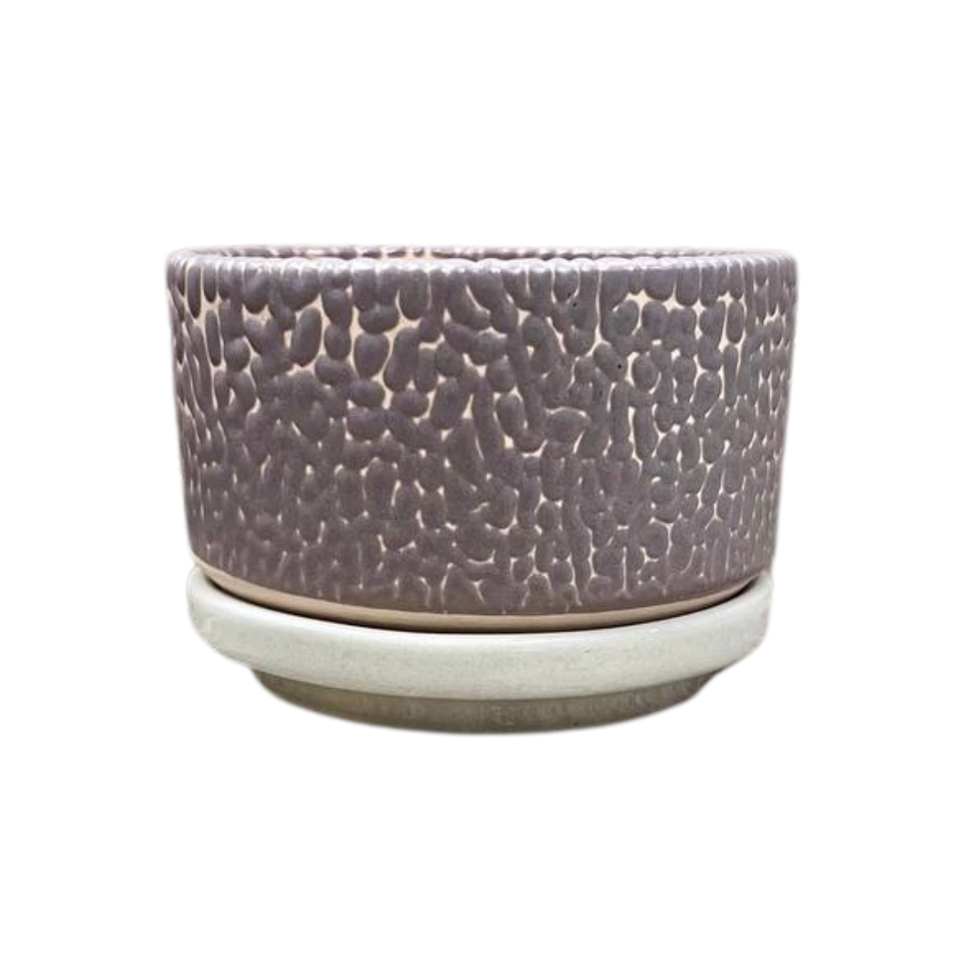 Pebble Shallow Ceramic Pot with Catch Plate (3 × 1.5 in)