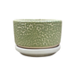 Pebble Shallow Ceramic Pot with Catch Plate (3 × 1.5 in)