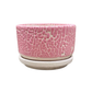 Pebble Shallow Ceramic Pot with Catch Plate (3 × 1.5 in)