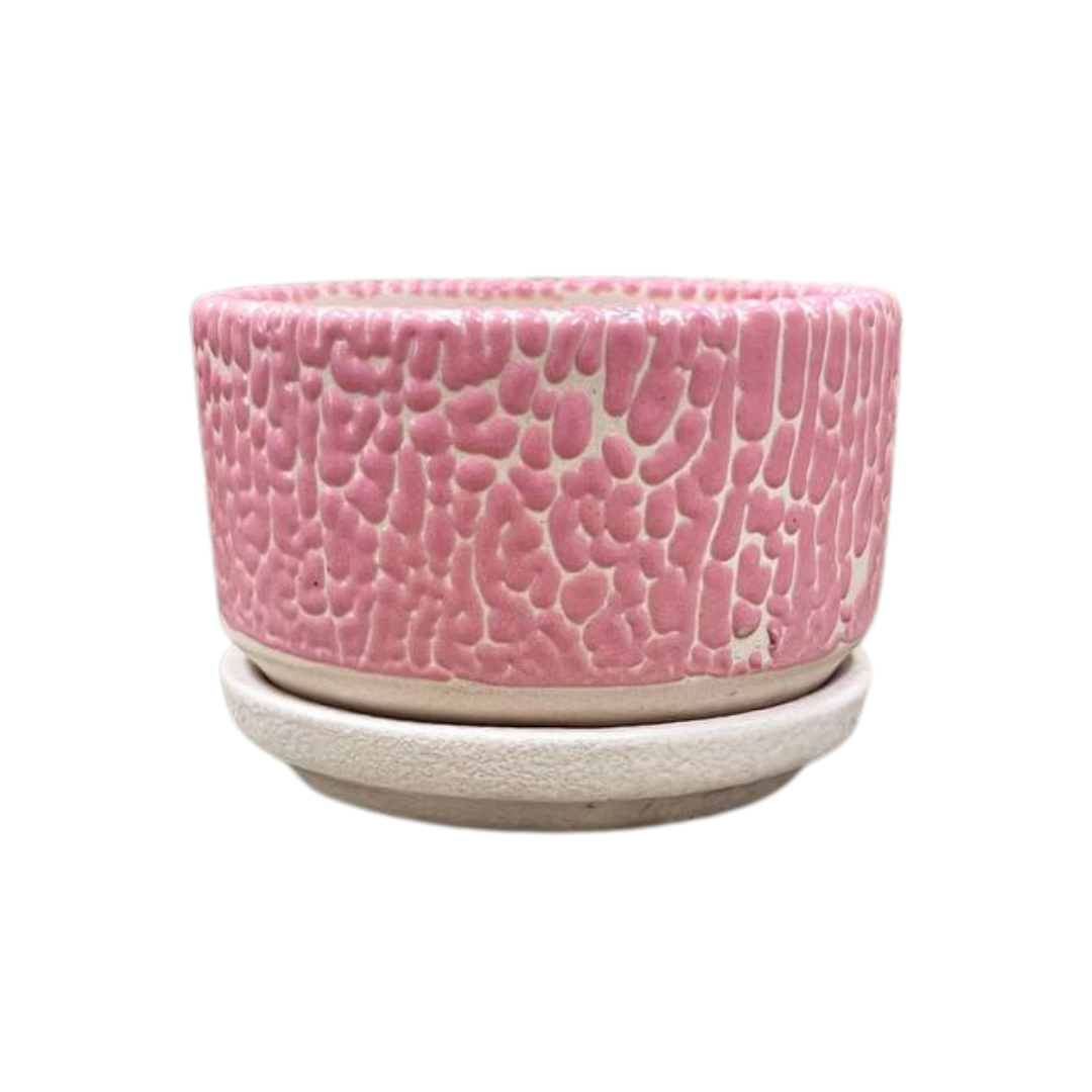 Pebble Shallow Ceramic Pot with Catch Plate (3 × 1.5 in)