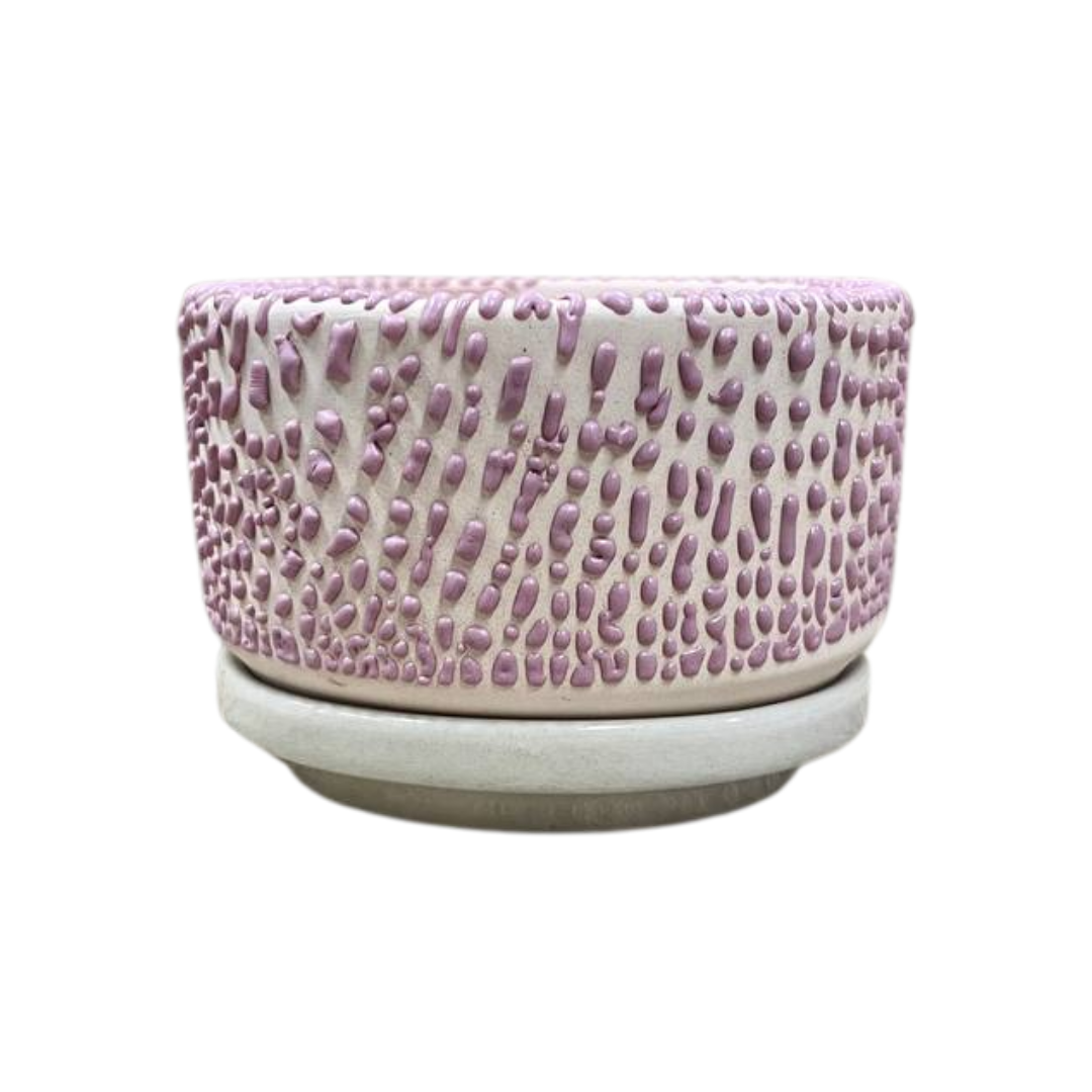 Pebble Shallow Ceramic Pot with Catch Plate (3 × 1.5 in)