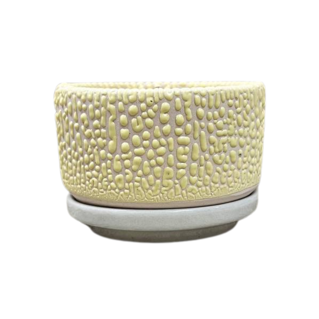 Pebble Shallow Ceramic Pot with Catch Plate (3 × 1.5 in)