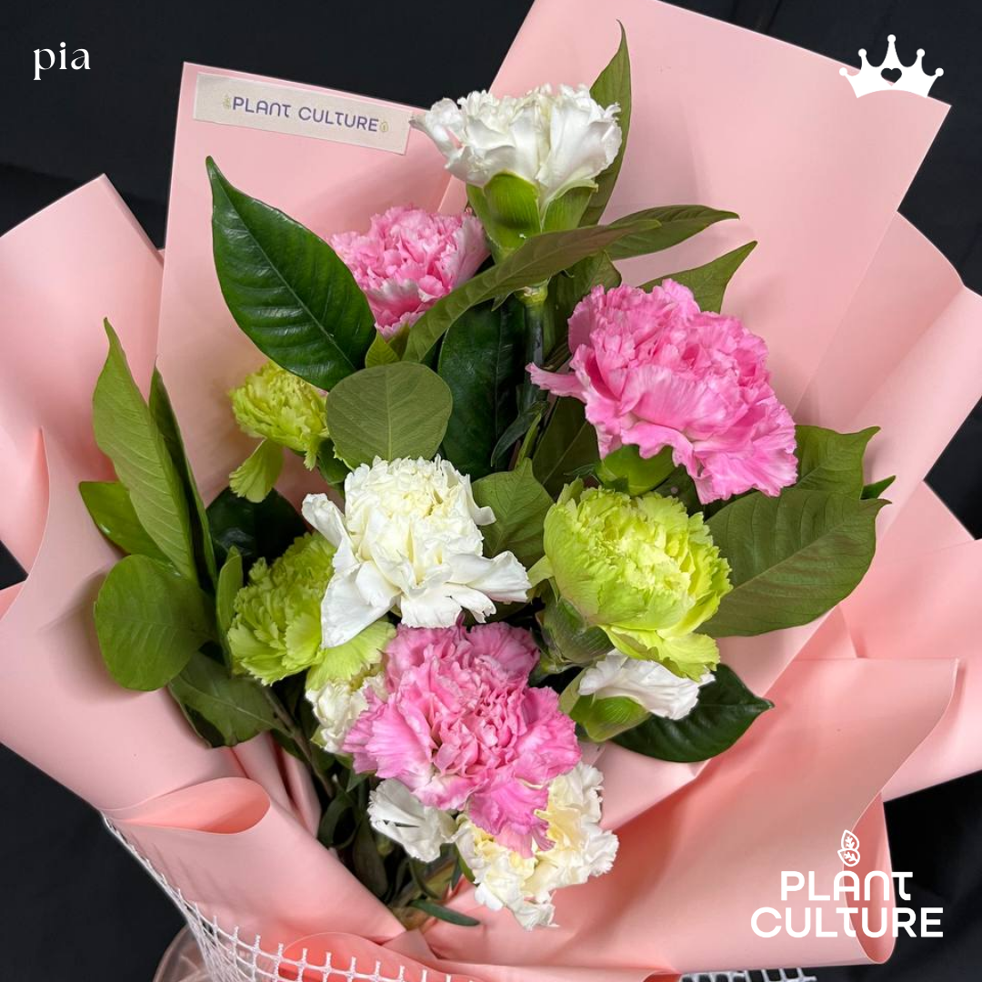 Pia Fresh Carnation Mixed Imported Flowers Bouquet