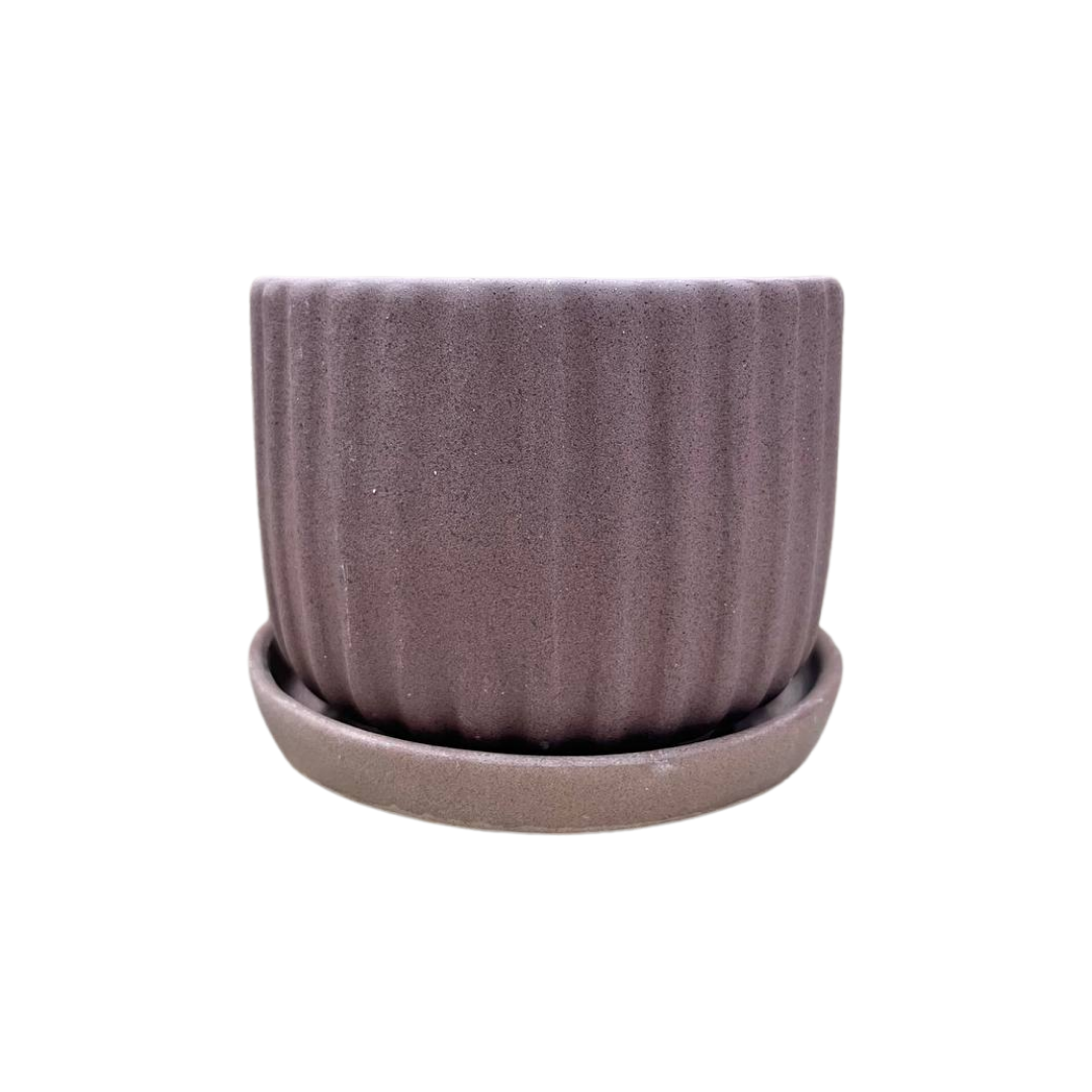 Plain Sandy Pot 4.5"x4" with Catch Plate