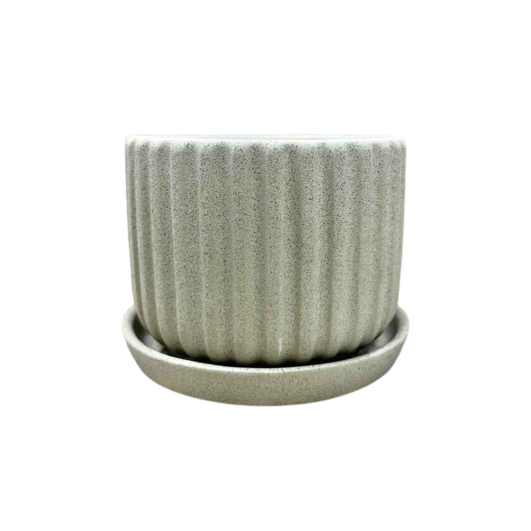 Plain Sandy Pot 4.5"x4" with Catch Plate