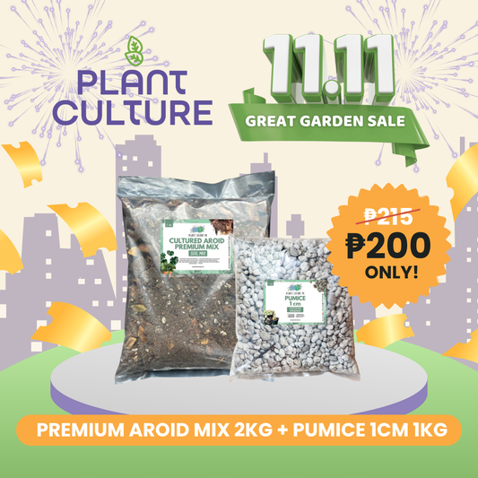 Bundle - Premium Soil Blend for Healthy Roots | 2Kg Aroid Mix + 1kg Pumice