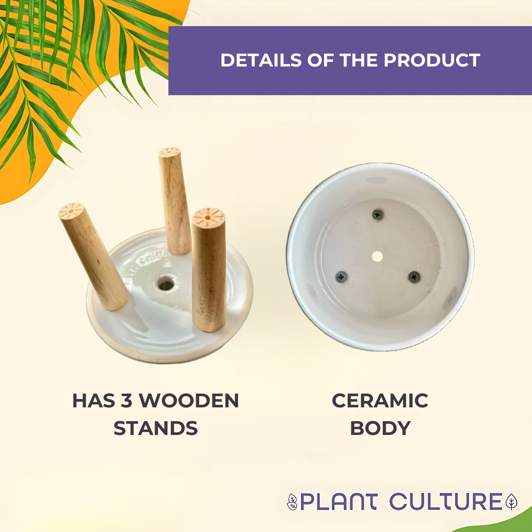 Elevated Planter with Wooden Stand | Ceramic Pots
