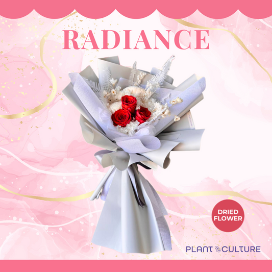 Radiance Preserved Dried Flower Arrangement