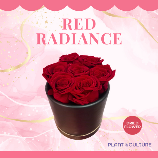 Red Radiance Preserved Dried Flower Arrangement