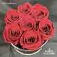 Red Radiance Preserved Dried Flower Arrangement