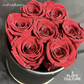 Red Radiance Preserved Dried Flower Arrangement