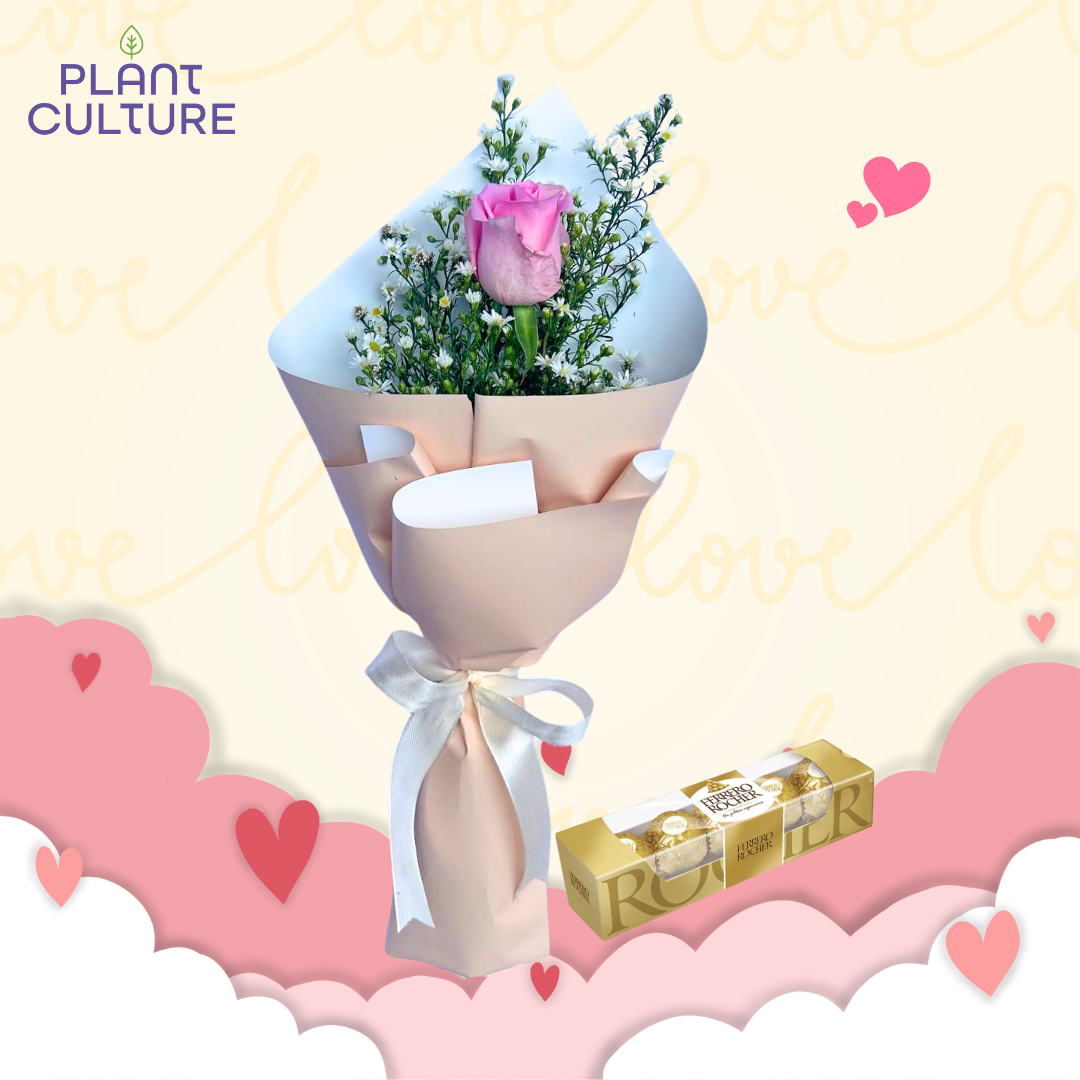 Rabiya Pink Rose Bouquet + Ferrero T5