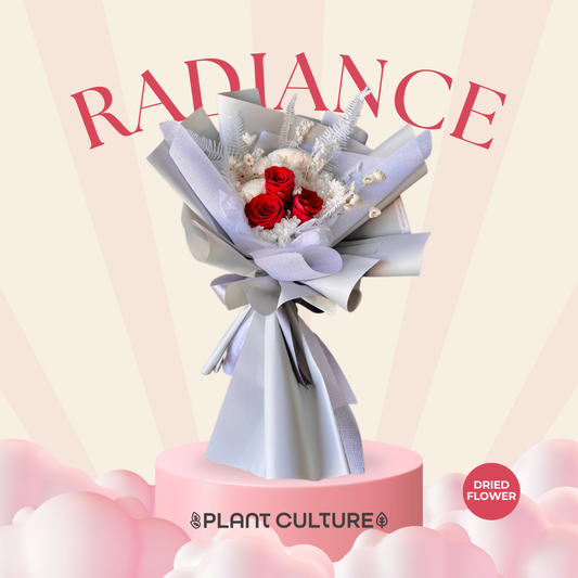Radiance Preserved Dried Flower Arrangement