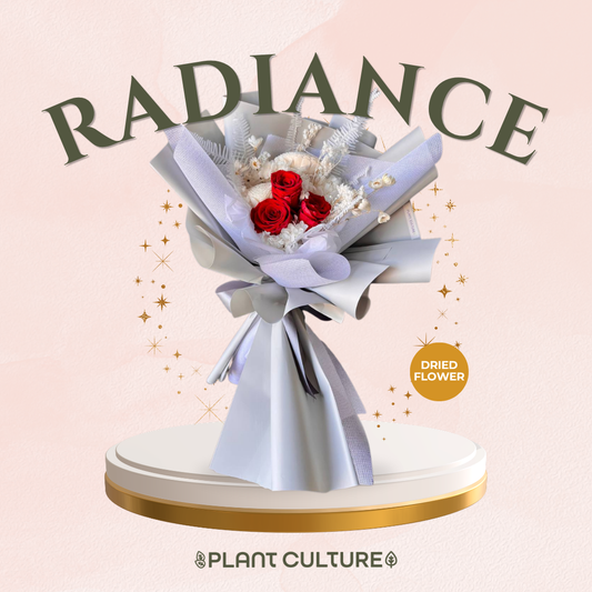 Mother's Day Dried Preserved Flower | Radiance