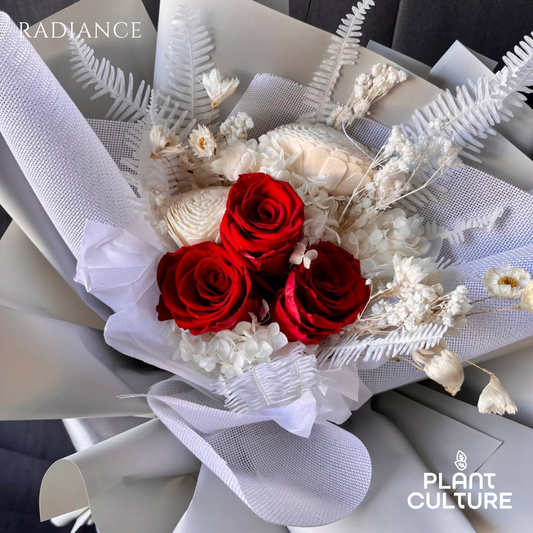 Mother's Day Dried Preserved Flower | Radiance