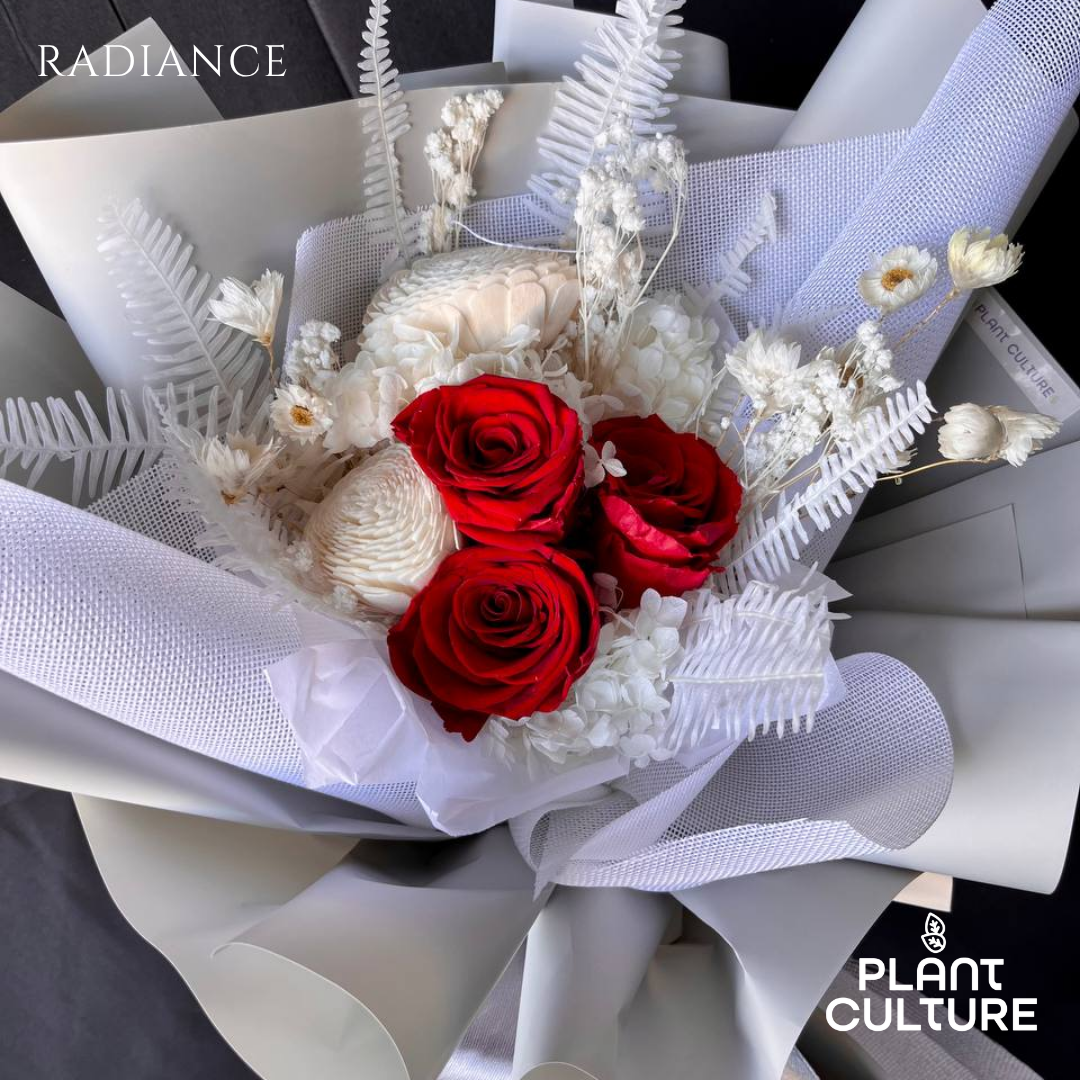 Mother's Day Dried Preserved Flower | Radiance