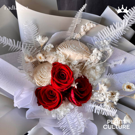 Radiance Preserved Dried Flower Arrangement