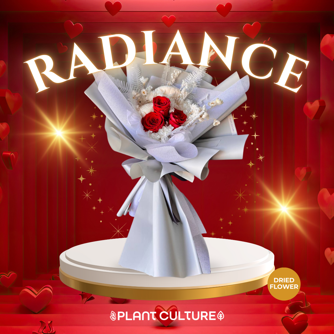Radiance Preserved Dried Flower Arrangement
