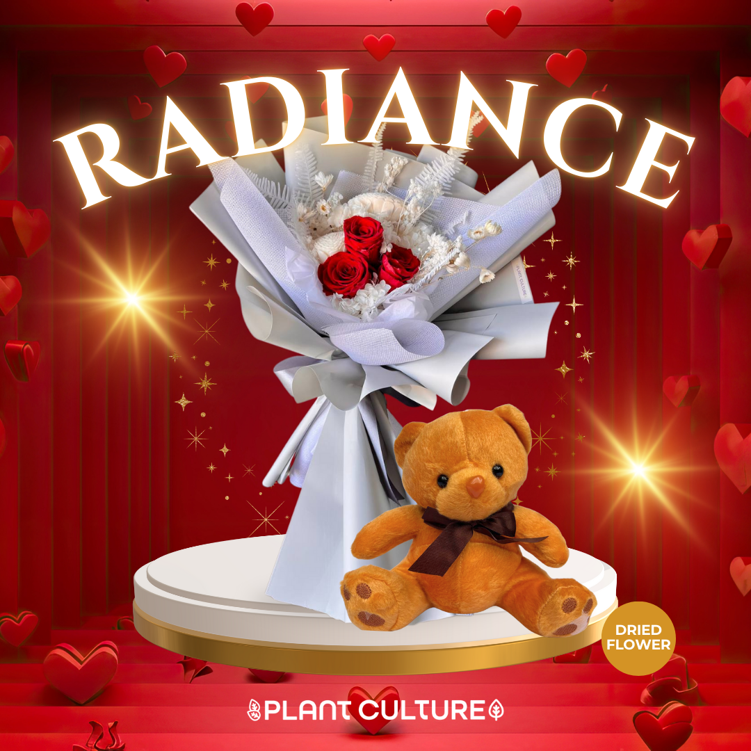 Radiance Preserved Dried Flower Arrangement