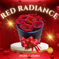 Red Radiance Preserved Dried Flower Arrangement