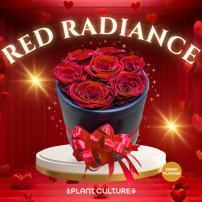 Red Radiance Preserved Dried Flower Arrangement
