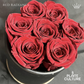 Red Radiance Preserved Dried Flower Arrangement